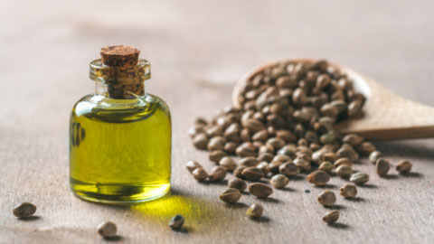 Hemp Seed Oil: A New Way to Nourish Your Health