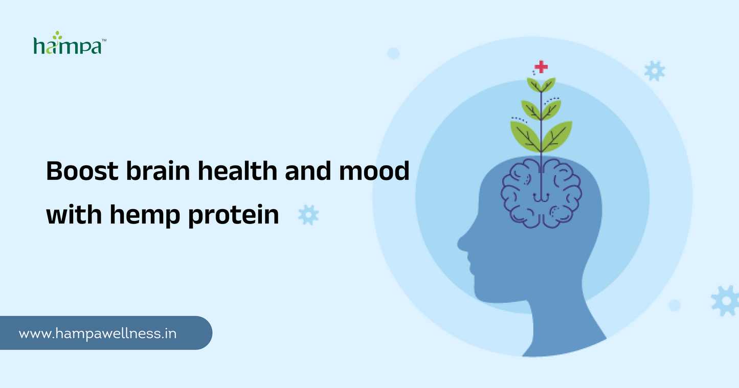 How Hemp Protein Supports Mental Health and Cognitive Function