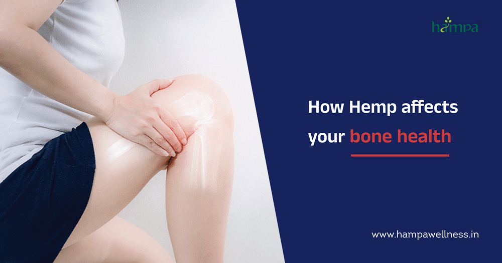 Building Strong Foundations: How Hemp Supports Bone and Joint Health