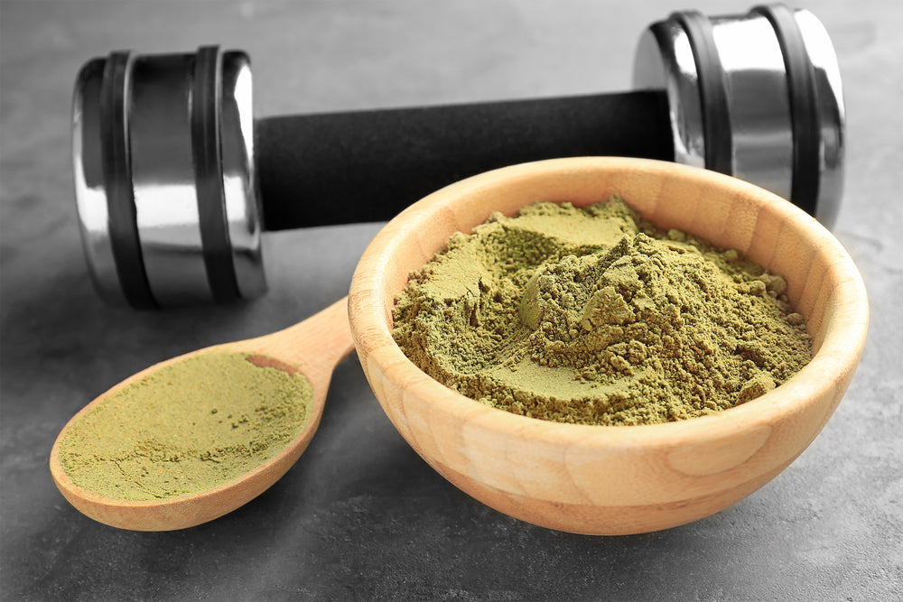 Whey protein v/s hemp protein: know the difference! – Hampa Wellness
