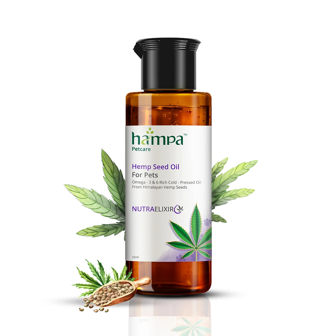 
                  
                    Hampa Hemp Seed Oil for Pets | ‘Paw’fect Nutrition for your pets!! Rich source of Omega 3 & 6 | 50ml
                  
                